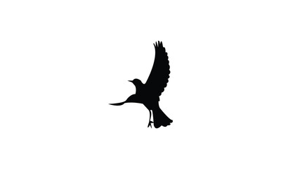 African rock pipit bird Silhouette Design  And Vector Illustration. 