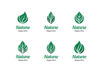 Vector Leaf Bold Logo Design, Abstract Logo, Minimal Leaf Logo with Title and Slogan, Illustration.