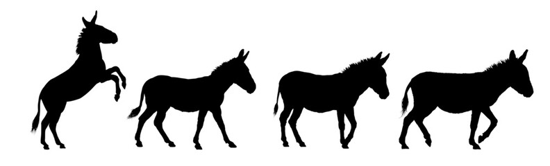 Set of donkey silhouette – vector illustration
