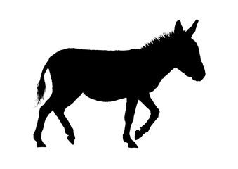 Donkey silhouette – vector illustration