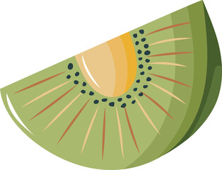 Illustration of a Kiwi Fruit Slice