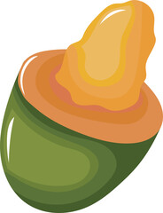 Vector Illustration of a Yellow Avocado Mango