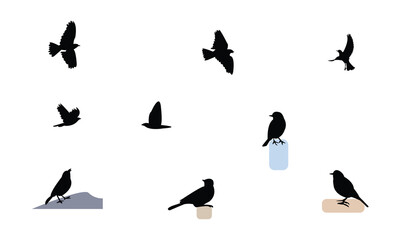 African rock pipit bird Silhouette Design  And Vector Illustration. 