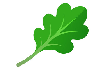 green leaf vector illustration  on white background