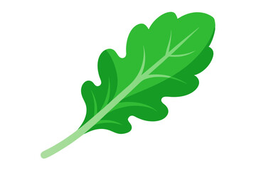 green leaf vector illustration  on white background