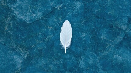 A single white feather floating on a blue water surface.