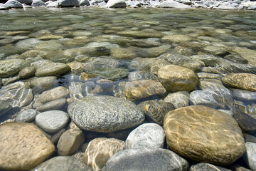 Details capturing intricate designs of nature during a serene afternoon in a vibrant garden filled with blooming flowers
