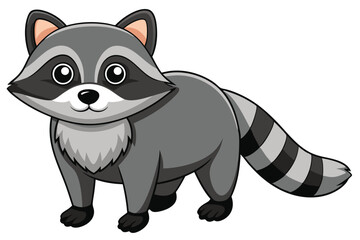 Illustrator of raccoon on white