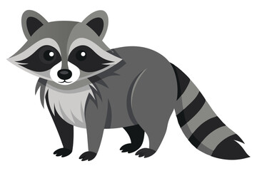 Illustrator of raccoon on white