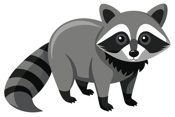 Illustrator of raccoon on white