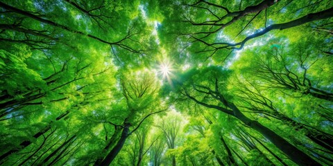 Forest canopy, vibrant green leaves, mystic atmosphere , lush, trees,  lush, trees, forest, dense, leafy, overgrown