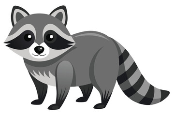 Illustrator of raccoon on white