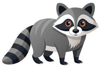 Illustrator of raccoon on white