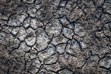 dry cracked soil