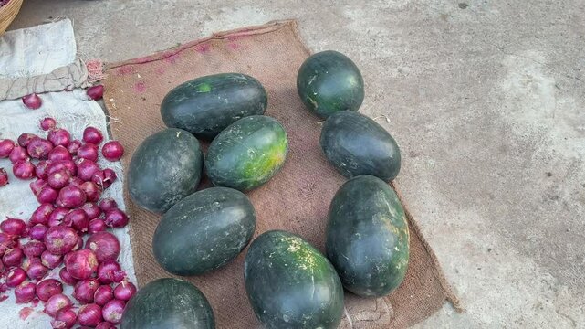 water melons for sale in india at the vegetable market or farmers market