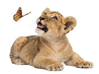 A cute group portrait shows a cat, a dog, and a young lion cub sitting as domestic pets against a Transparent background