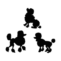 cute dog silhouette playing