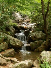 Fototapeta premium Serene waterfall cascading over mossy rocks in a lush green forest creating a peaceful and refreshing atmosphere with a natural and scenic view