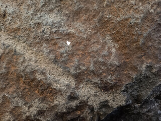 Stone texture and background. Stone texture. Abstract textures and backgrounds for the design. Rock surface. Stone background. Textures for 3D rendering materials and backgrounds.