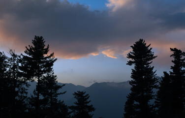 Horizontal picture of pastel pink color sky and mountains and cedar trees taken during magical hour in evening. Picture from Kullu, Himachal Pradesh, India.