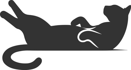 Obraz premium Silhouette of a cat