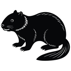 beavre vector