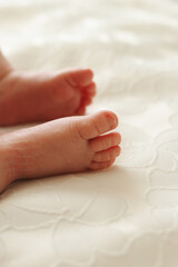 Close-up of newborn baby feet resting on a soft white blanket. Tender and peaceful atmosphere. Perfect image for maternity, baby care, or parenting themes. High quality photo