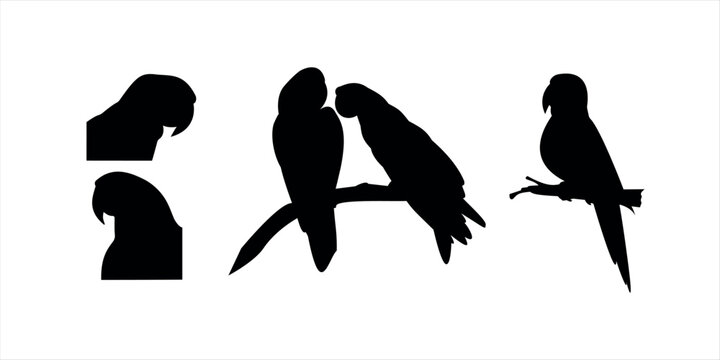Set of silhouettes of parrots on white background