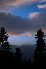 Fototapeta premium Vertical picture of pastel pink color sky and mountains and cedar trees taken during magical hour in evening.