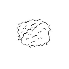 hand drawn bush illustration