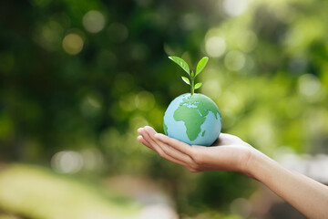 World Environment Day, hand holding earth globe and tree. Sustainable Environmental conservation....