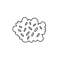 hand drawn bush illustration