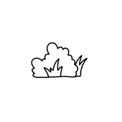 hand drawn bush illustration