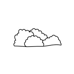 hand drawn bush illustration