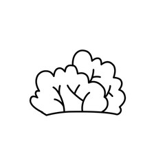 hand drawn bush illustration