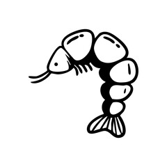 shrimp hand drawn element
