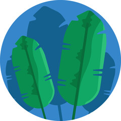 Tropical foliage commonly found in zoo habitats, symbolizing lush, exotic environments.