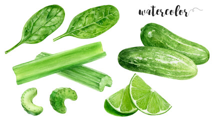 Watercolor Realistic Cucumber, Lime, Spinach Leaves and Celery Sticks Illustration, Fresh Greens and Vegetables Collection