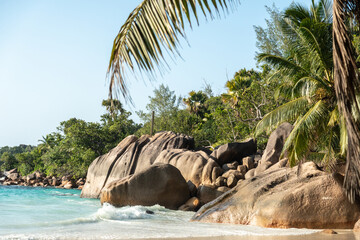 Seychelles tropical beach scene with turquoise sea, granite boulders, lush palm vegetation