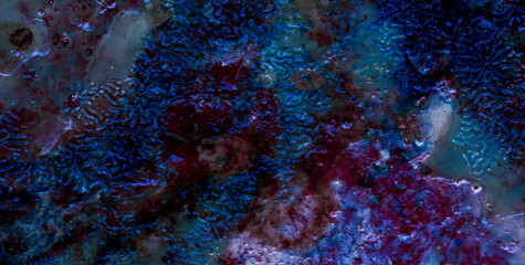 A Dynamic Backdrop with Texture, Pattern, and Color