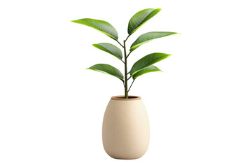Plant vase