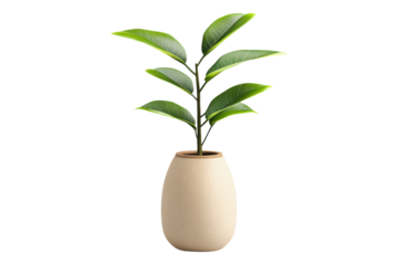 Plant vase