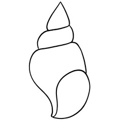 Line art sea shell