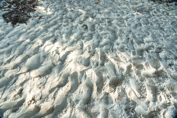 Close-up texture of soft white coral sand with footprints, lit by tropical sunlight on a beach