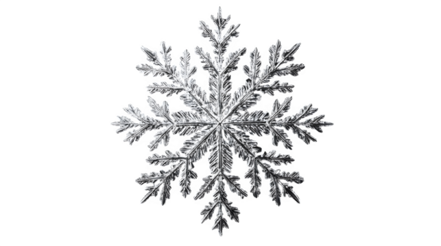 Realistic snowflake with intricate icy details, symbolizing winter and uniqueness. Isolated on a transparent background.
