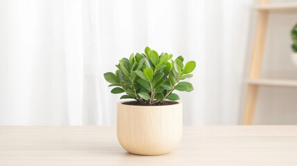 Fototapeta premium beautiful indoor plant in light wooden planter adds touch of nature to any space, enhancing ambiance with its vibrant green leaves and modern design