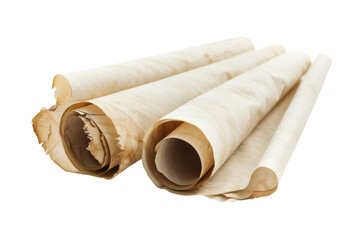 Fototapeta premium Rolled Parchment Scroll Isolated