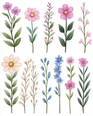 A delightful collection of twelve watercolor wildflowers blooming in soft pastel pinks, purples, and creams, perfect for design projects needing delicate floral elements and