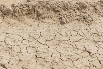 Dry land, dry land, cracked land
