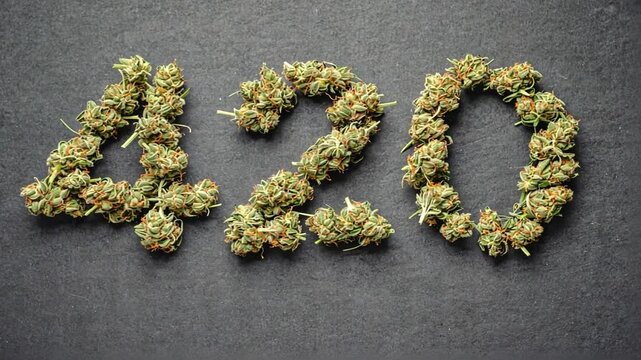 420 Day, Cannabis Day.